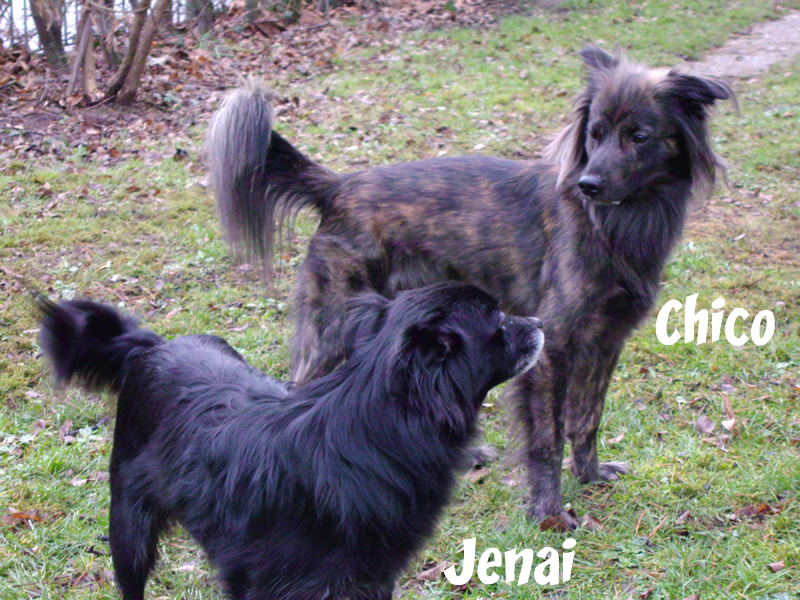 Jenai_und_Chico